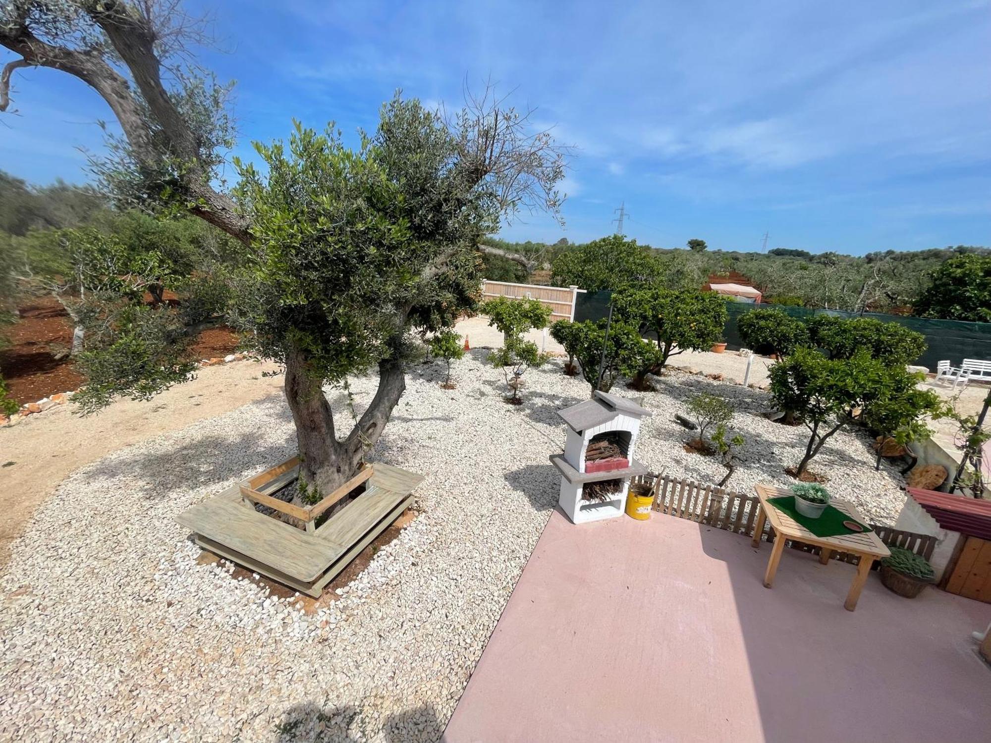 Вілла Trullo Del Salento Сан-Віто-дей-Норманні Екстер'єр фото